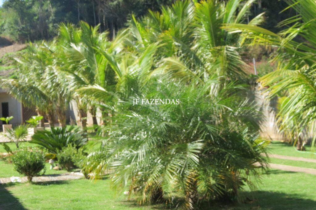Granja em Juiz de Fora – MG – 1900 m² Granja em Juiz de Fora – MG – 1900 m²