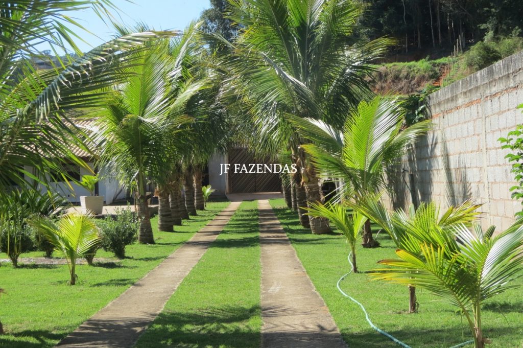 Granja em Juiz de Fora – MG – 1900 m² Granja em Juiz de Fora – MG – 1900 m²