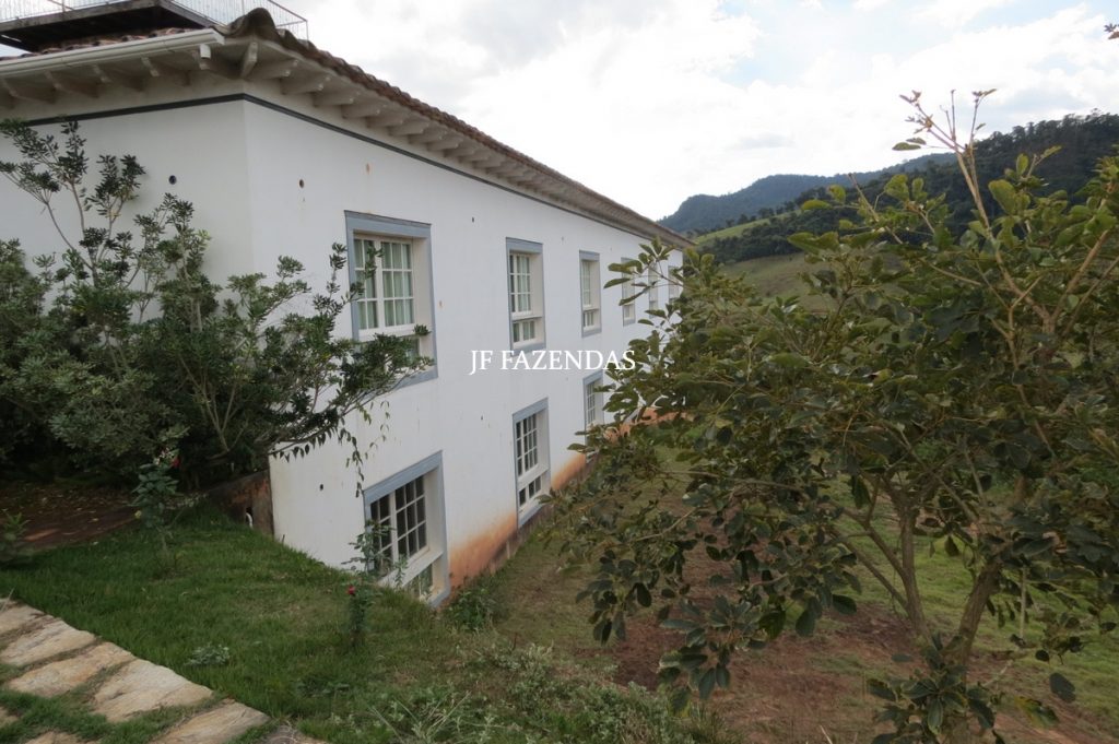 Sitio em São José das Tres Ilhas- MG – 43 hectares Sitio em São José das Tres Ilhas- MG – 43 hectares