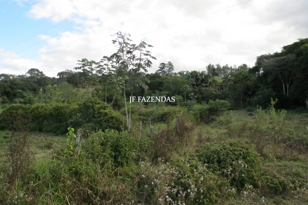 Sitio em Rio Novo – MG – 14 hectares