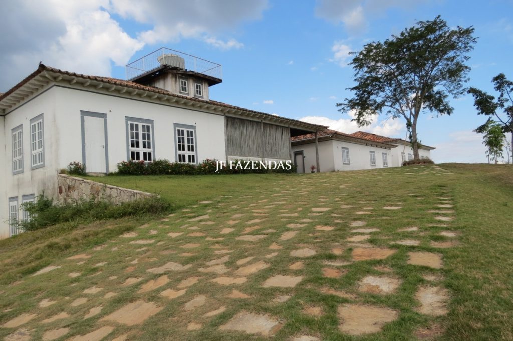 Sitio em São José das Tres Ilhas- MG – 43 hectares Sitio em São José das Tres Ilhas- MG – 43 hectares