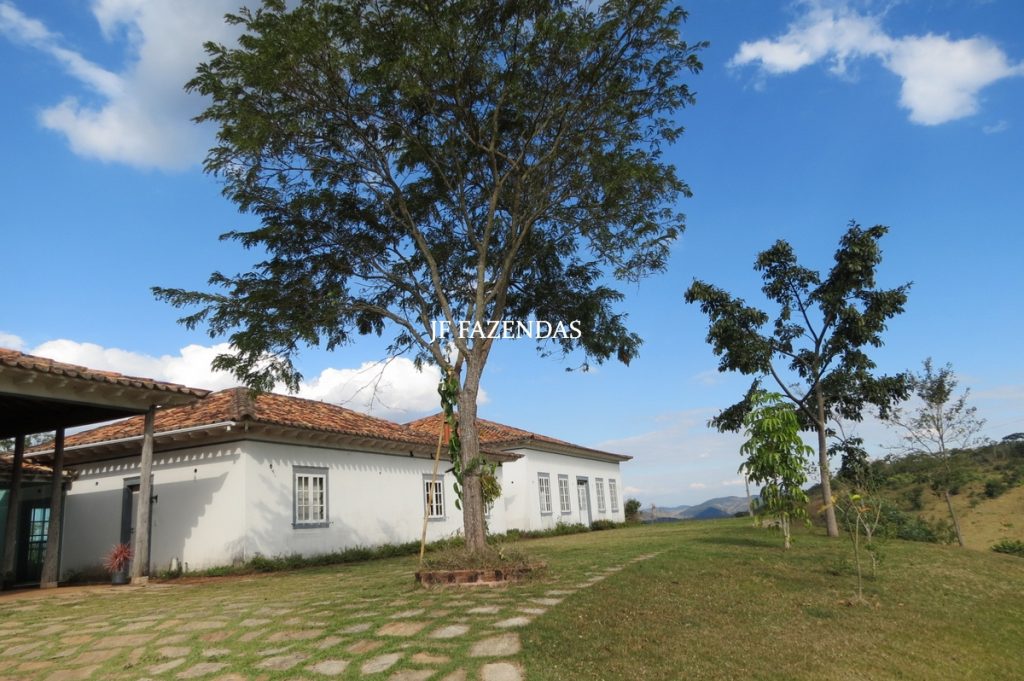 Sitio em São José das Tres Ilhas- MG – 43 hectares Sitio em São José das Tres Ilhas- MG – 43 hectares