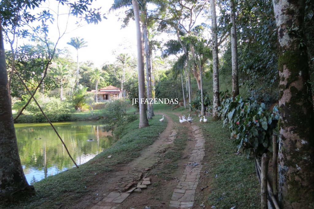 Sitio em Rio Novo – MG – 14 hectares