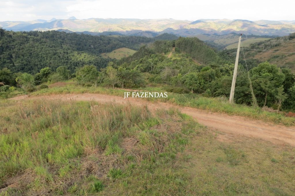 Sitio em São José das Tres Ilhas- MG – 43 hectares Sitio em São José das Tres Ilhas- MG – 43 hectares