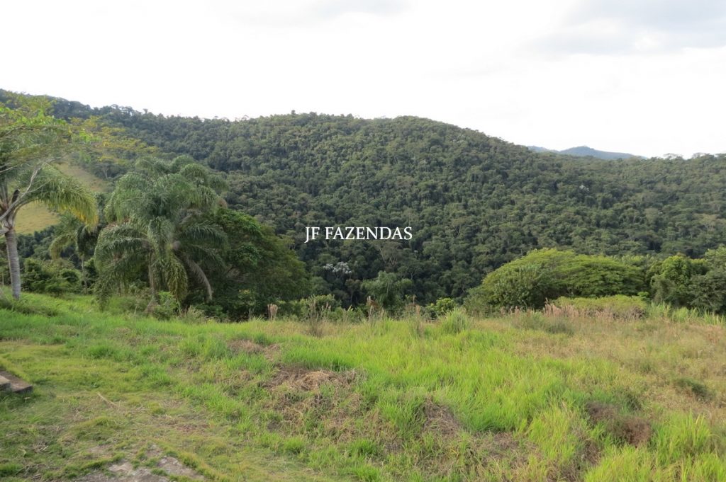 Sitio em São José das Tres Ilhas- MG – 43 hectares Sitio em São José das Tres Ilhas- MG – 43 hectares