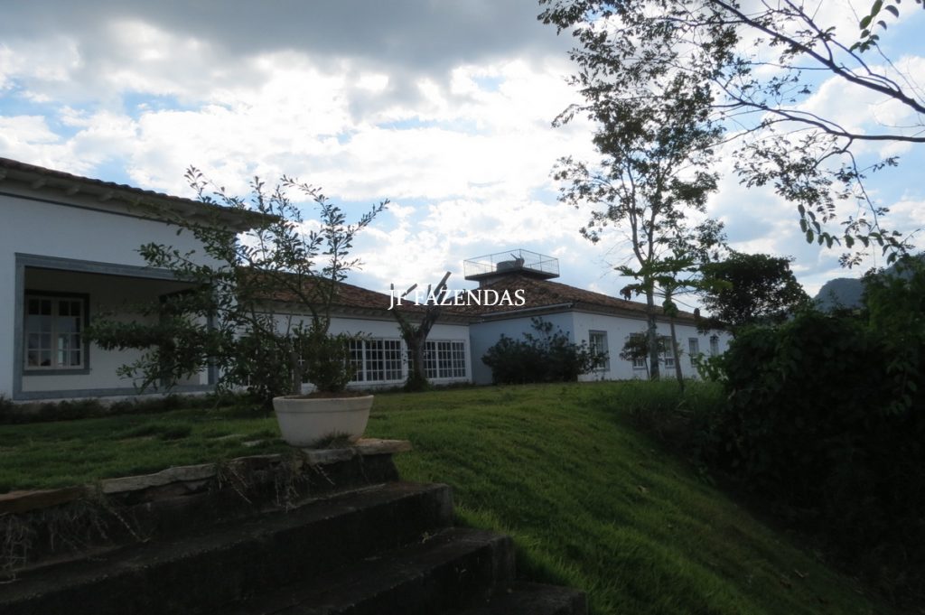 Sitio em São José das Tres Ilhas- MG – 43 hectares Sitio em São José das Tres Ilhas- MG – 43 hectares