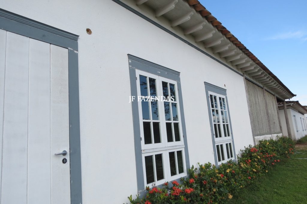 Sitio em São José das Tres Ilhas- MG – 43 hectares Sitio em São José das Tres Ilhas- MG – 43 hectares