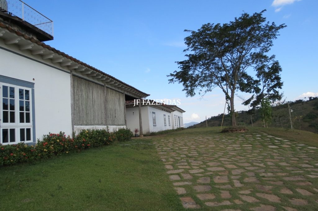 Sitio em São José das Tres Ilhas- MG – 43 hectares Sitio em São José das Tres Ilhas- MG – 43 hectares