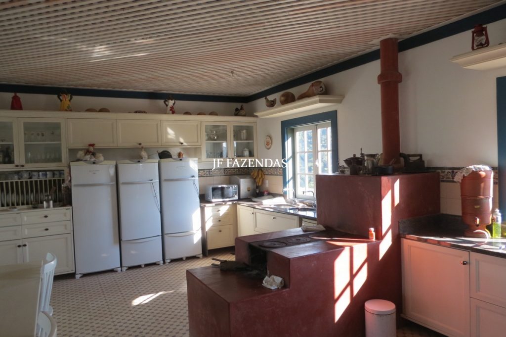 Sitio em São José das Tres Ilhas- MG – 43 hectares Sitio em São José das Tres Ilhas- MG – 43 hectares