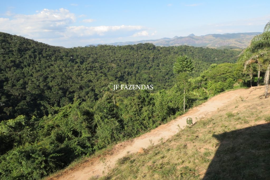 Sitio em São José das Tres Ilhas- MG – 43 hectares Sitio em São José das Tres Ilhas- MG – 43 hectares