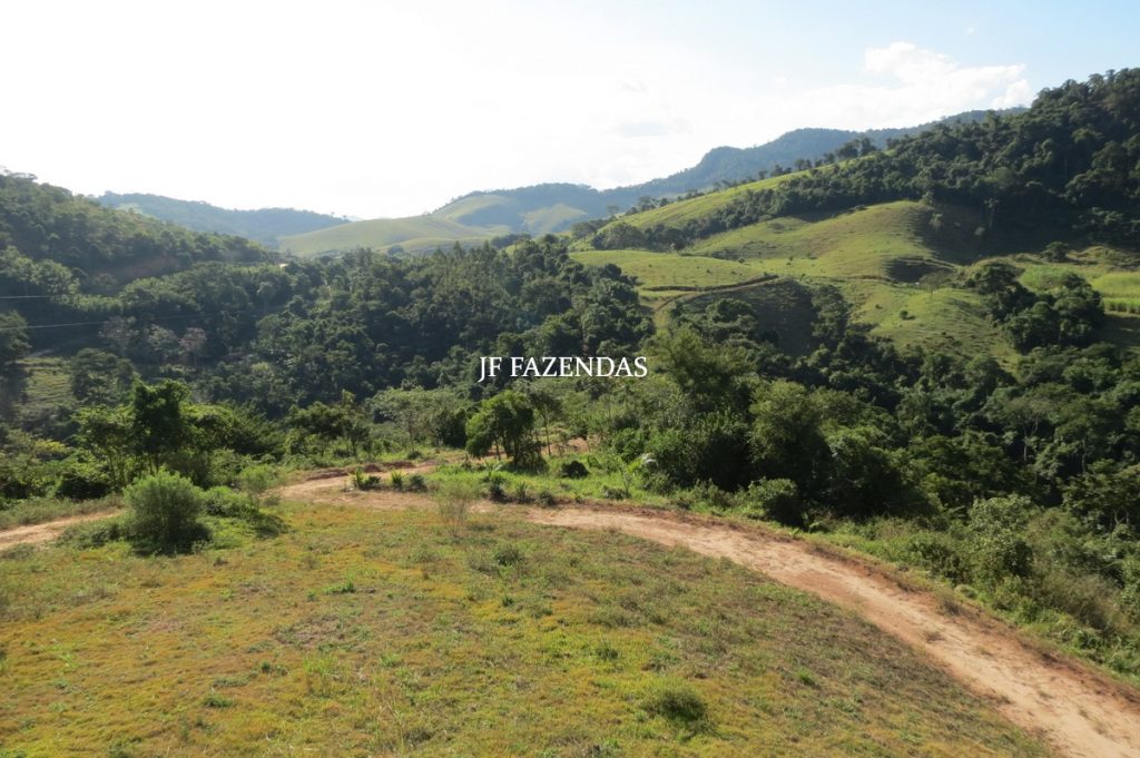 Sitio em São José das Tres Ilhas- MG – 43 hectares Sitio em São José das Tres Ilhas- MG – 43 hectares