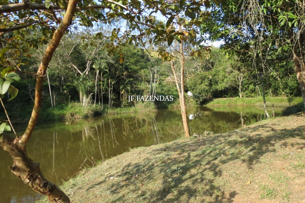 Sitio em São José das Tres Ilhas- MG – 43 hectares Sitio em São José das Tres Ilhas- MG – 43 hectares