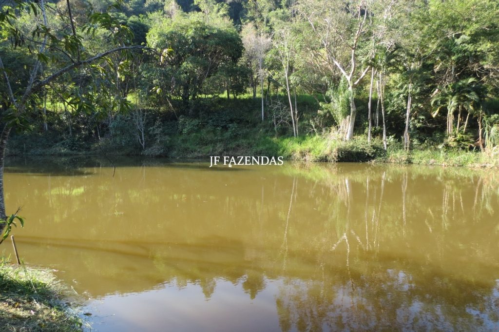 Sitio em São José das Tres Ilhas- MG – 43 hectares Sitio em São José das Tres Ilhas- MG – 43 hectares