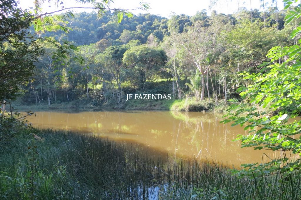 Sitio em São José das Tres Ilhas- MG – 43 hectares Sitio em São José das Tres Ilhas- MG – 43 hectares