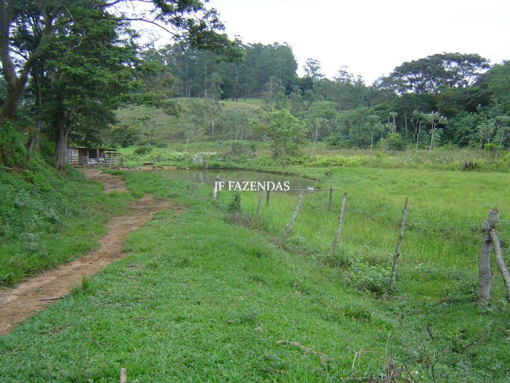 Sitio em Tabuleiro – MG – 14,11.48 hectares Sitio em Tabuleiro – MG – 14,11.48 hectares
