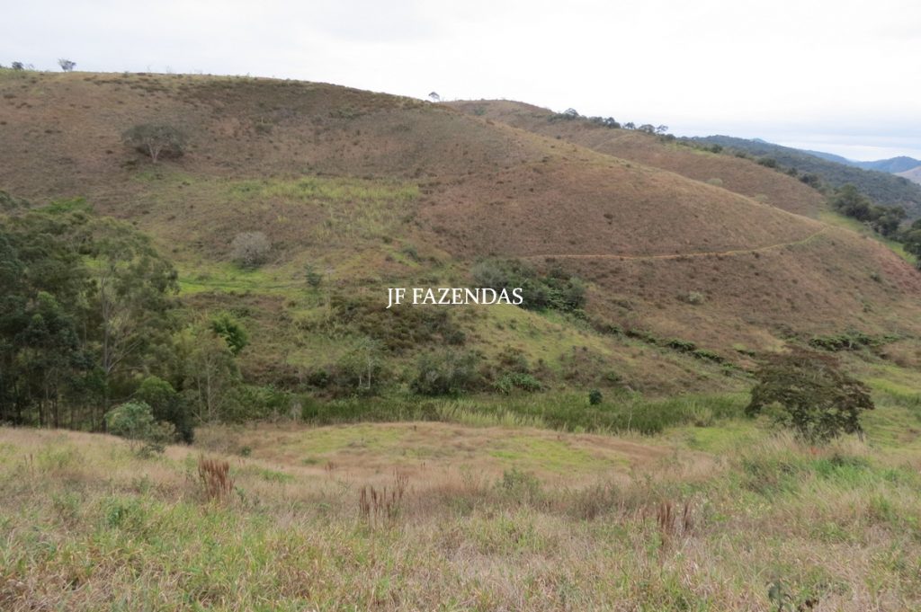 Sitio em Juiz de Fora- MG – 39 hectares Sitio em Juiz de Fora- MG – 39 hectares
