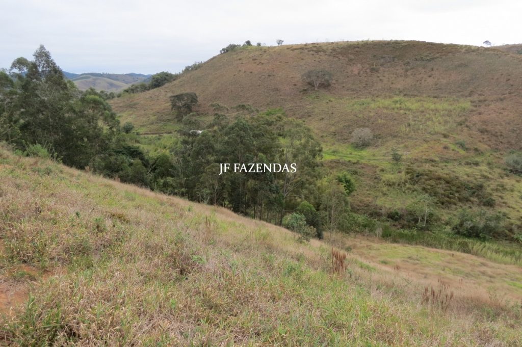 Sitio em Juiz de Fora- MG – 39 hectares Sitio em Juiz de Fora- MG – 39 hectares