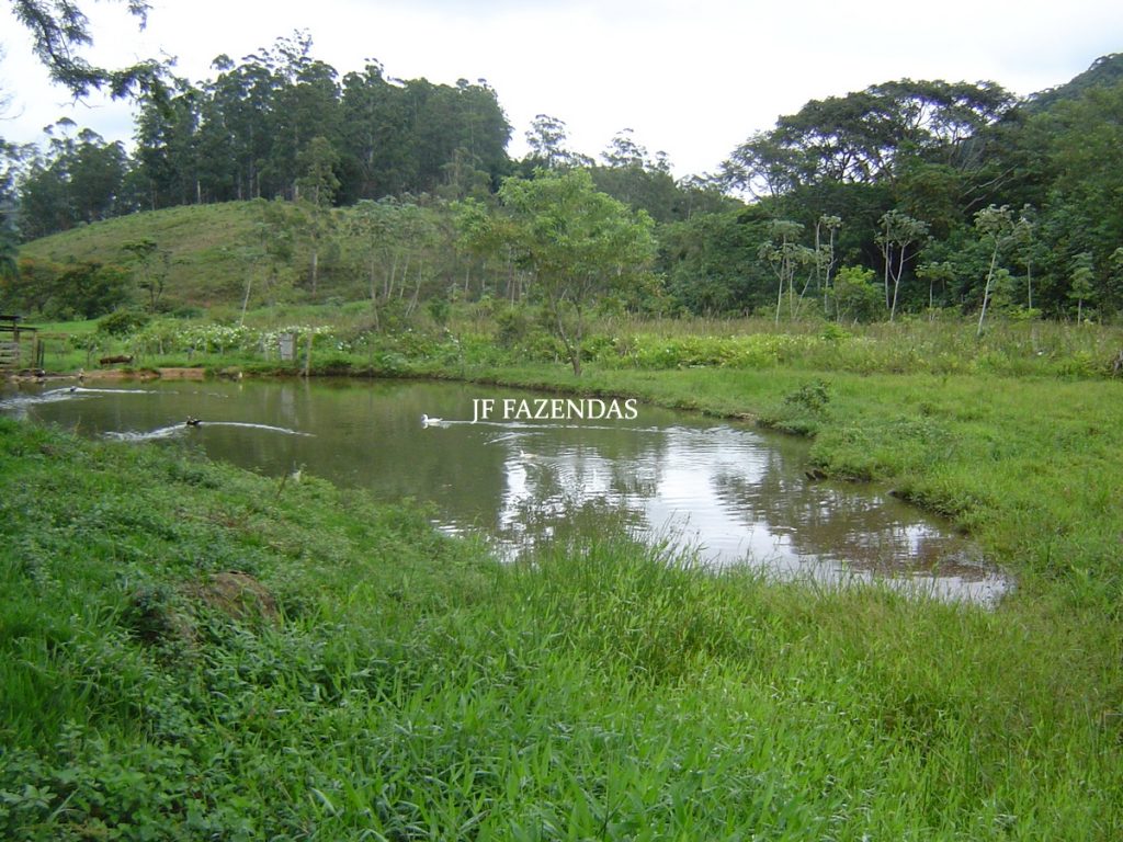 Sitio em Tabuleiro – MG – 14,11.48 hectares Sitio em Tabuleiro – MG – 14,11.48 hectares