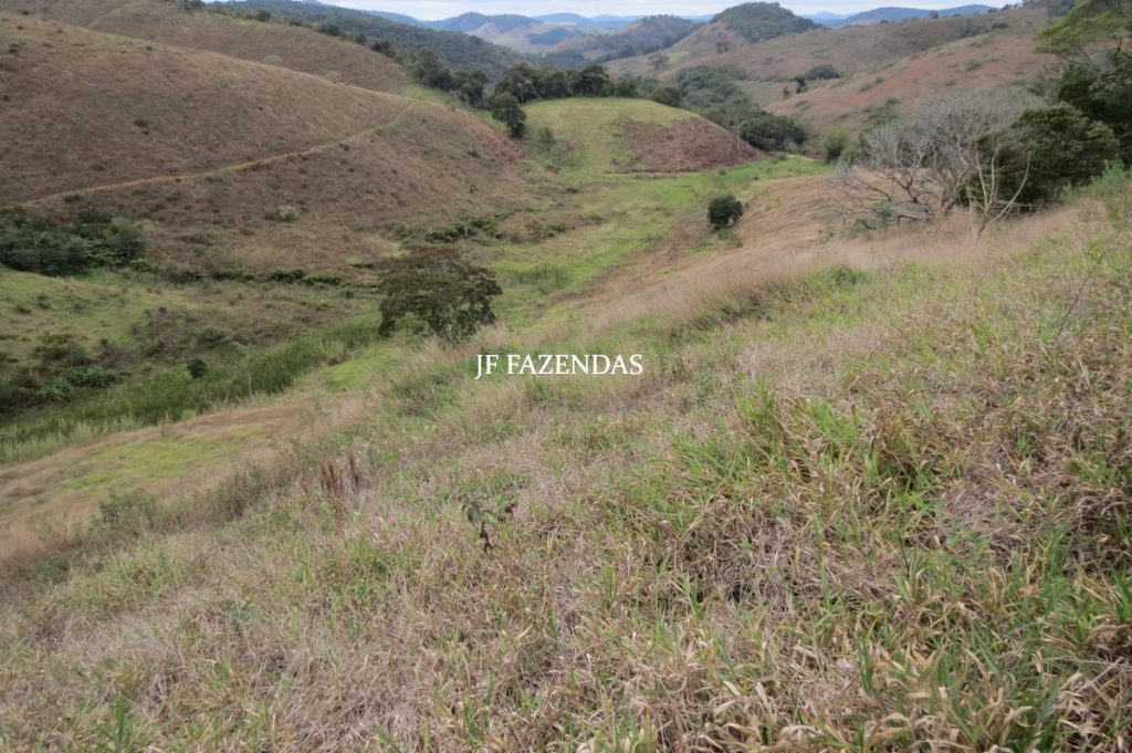 Sitio em Juiz de Fora- MG – 39 hectares Sitio em Juiz de Fora- MG – 39 hectares