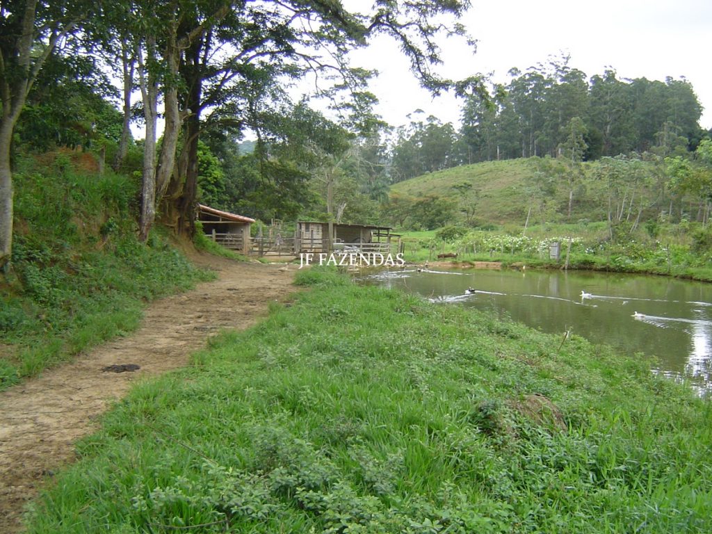 Sitio em Tabuleiro – MG – 14,11.48 hectares Sitio em Tabuleiro – MG – 14,11.48 hectares