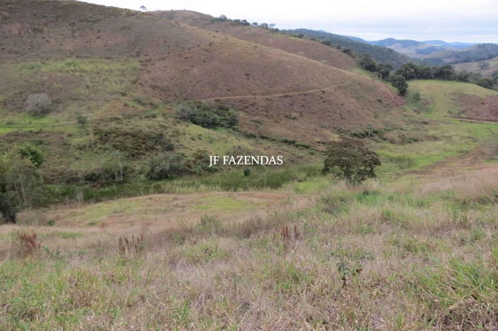 Sitio em Juiz de Fora- MG – 39 hectares Sitio em Juiz de Fora- MG – 39 hectares