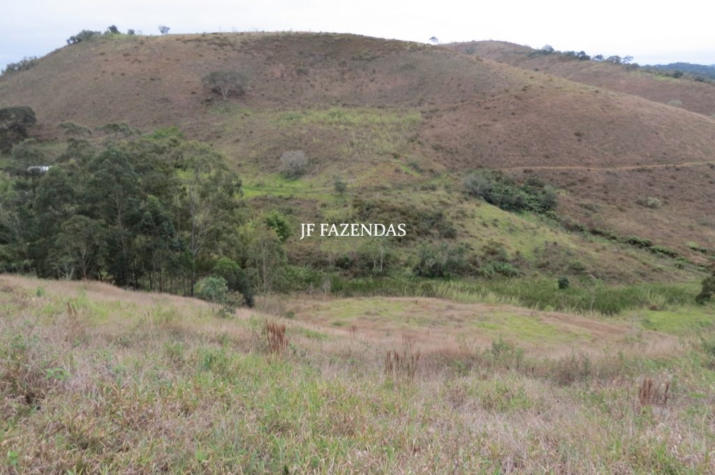 Sitio em Juiz de Fora- MG – 39 hectares Sitio em Juiz de Fora- MG – 39 hectares