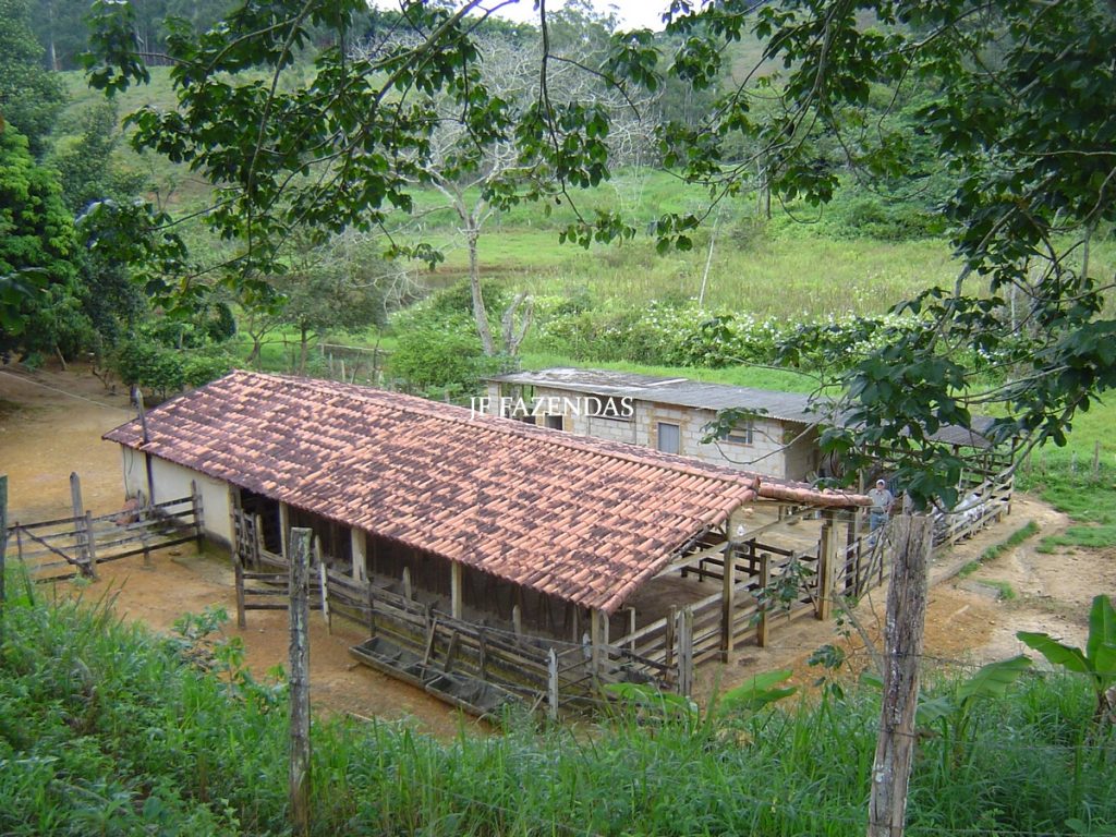 Sitio em Tabuleiro – MG – 14,11.48 hectares Sitio em Tabuleiro – MG – 14,11.48 hectares