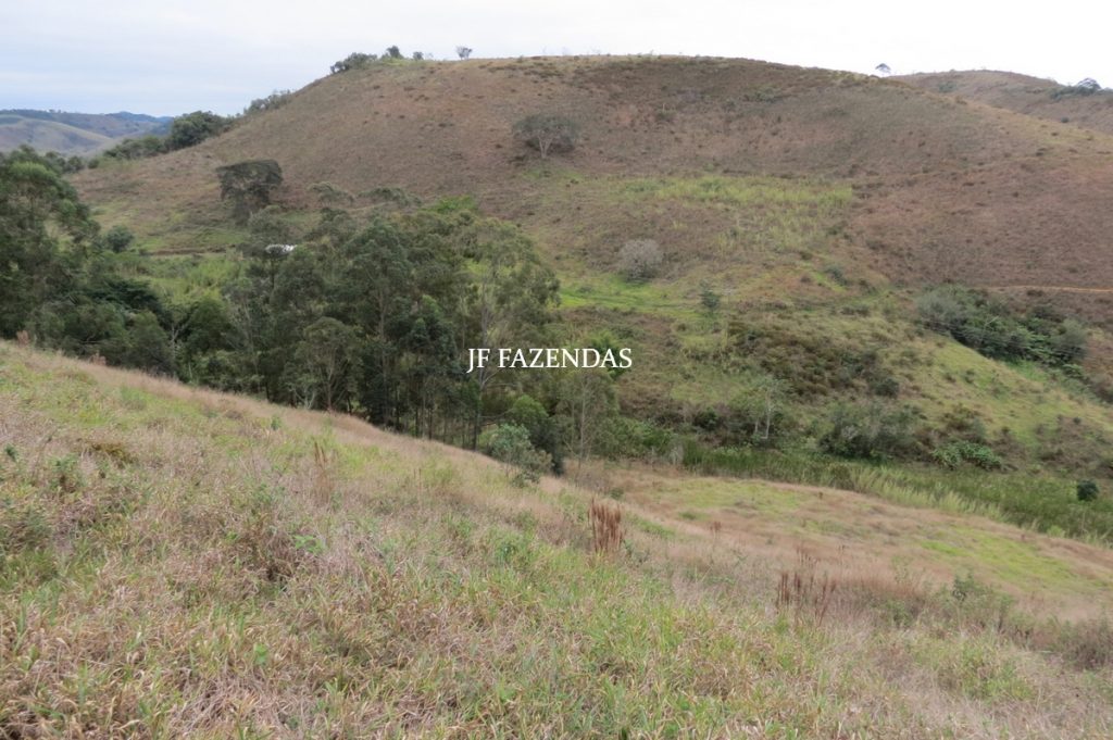 Sitio em Juiz de Fora- MG – 39 hectares Sitio em Juiz de Fora- MG – 39 hectares