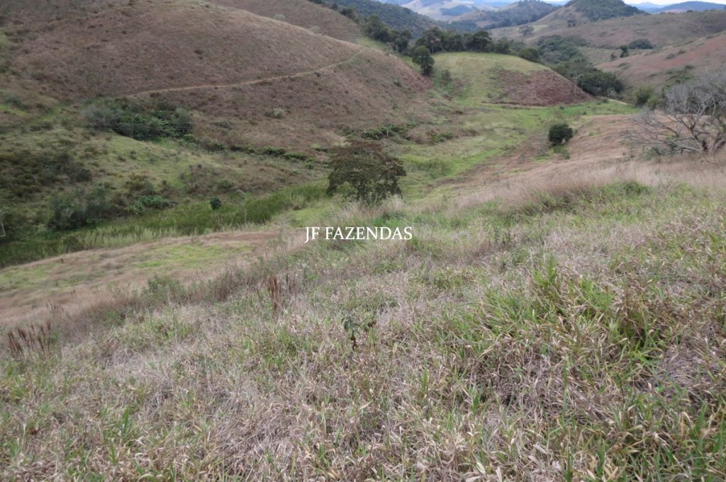 Sitio em Juiz de Fora- MG – 39 hectares Sitio em Juiz de Fora- MG – 39 hectares