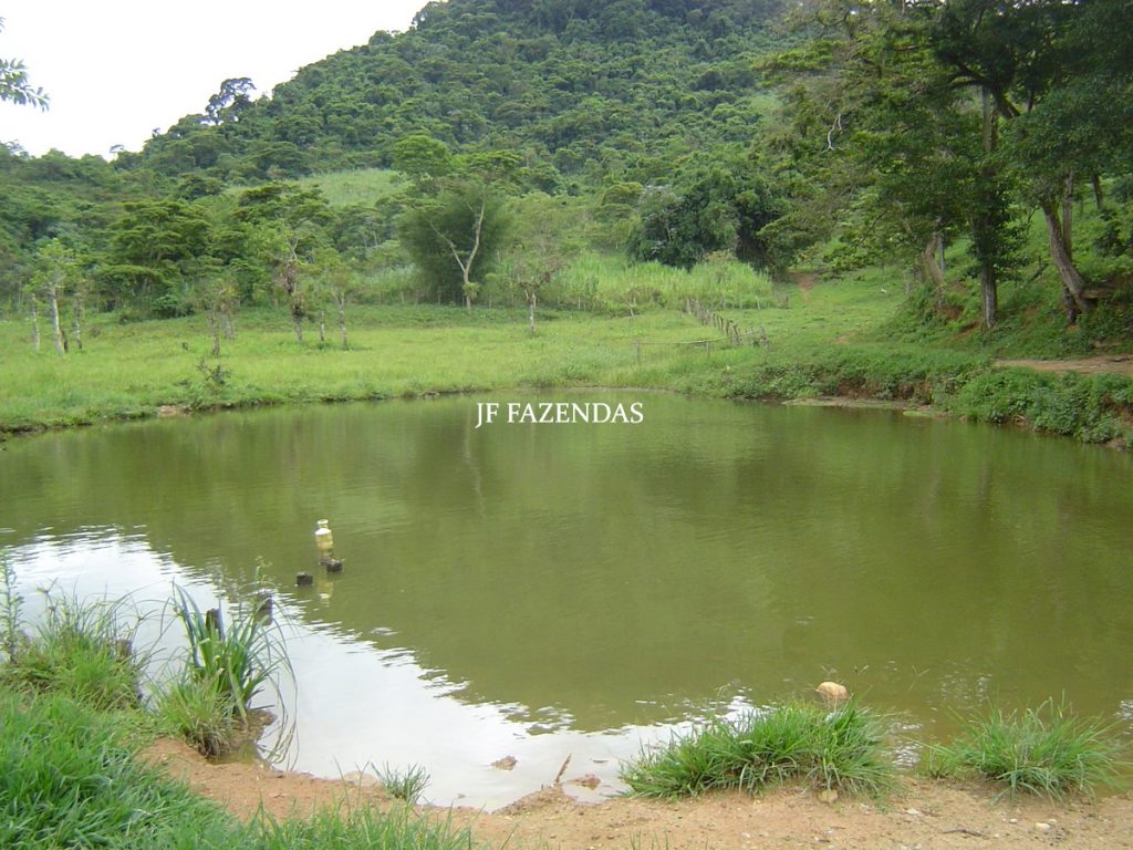 Sitio em Tabuleiro – MG – 14,11.48 hectares Sitio em Tabuleiro – MG – 14,11.48 hectares
