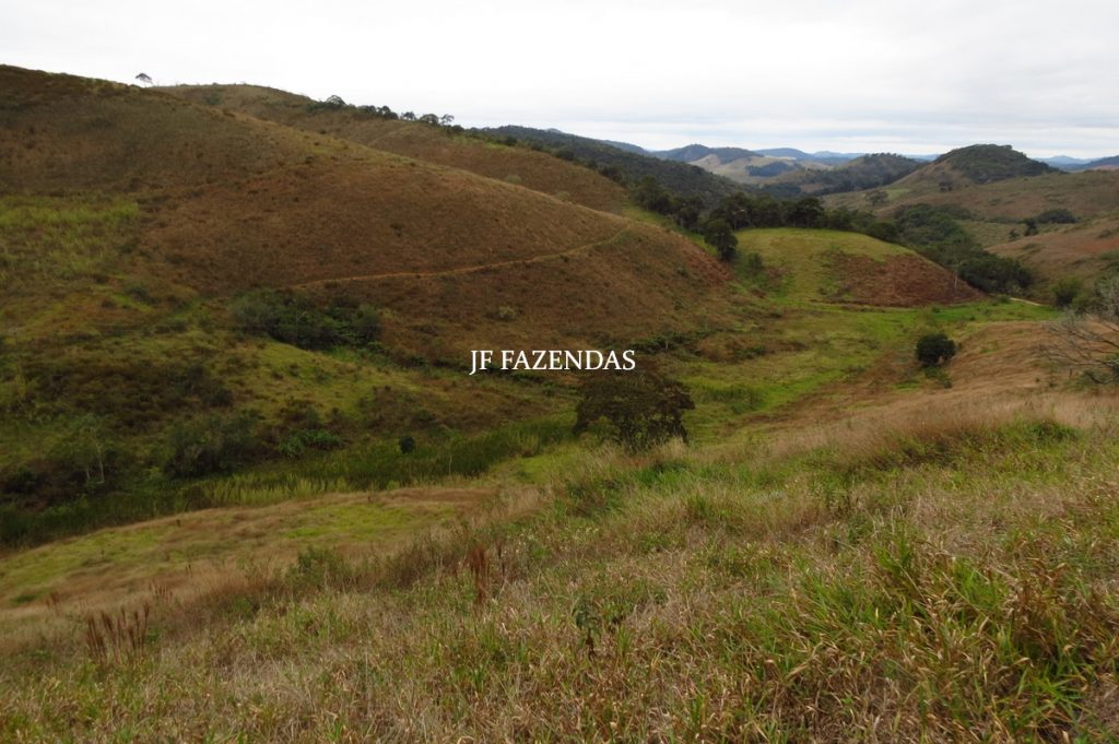 Sitio em Juiz de Fora- MG – 39 hectares Sitio em Juiz de Fora- MG – 39 hectares