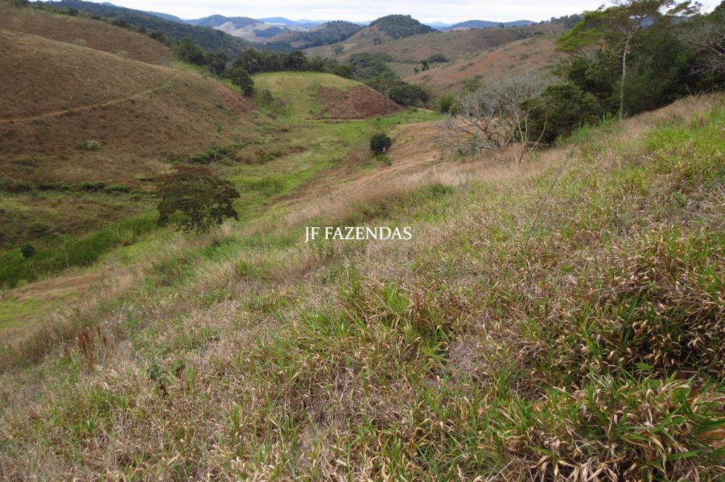 Sitio em Juiz de Fora- MG – 39 hectares Sitio em Juiz de Fora- MG – 39 hectares