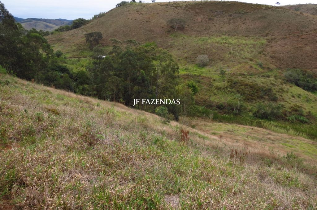 Sitio em Juiz de Fora- MG – 39 hectares Sitio em Juiz de Fora- MG – 39 hectares