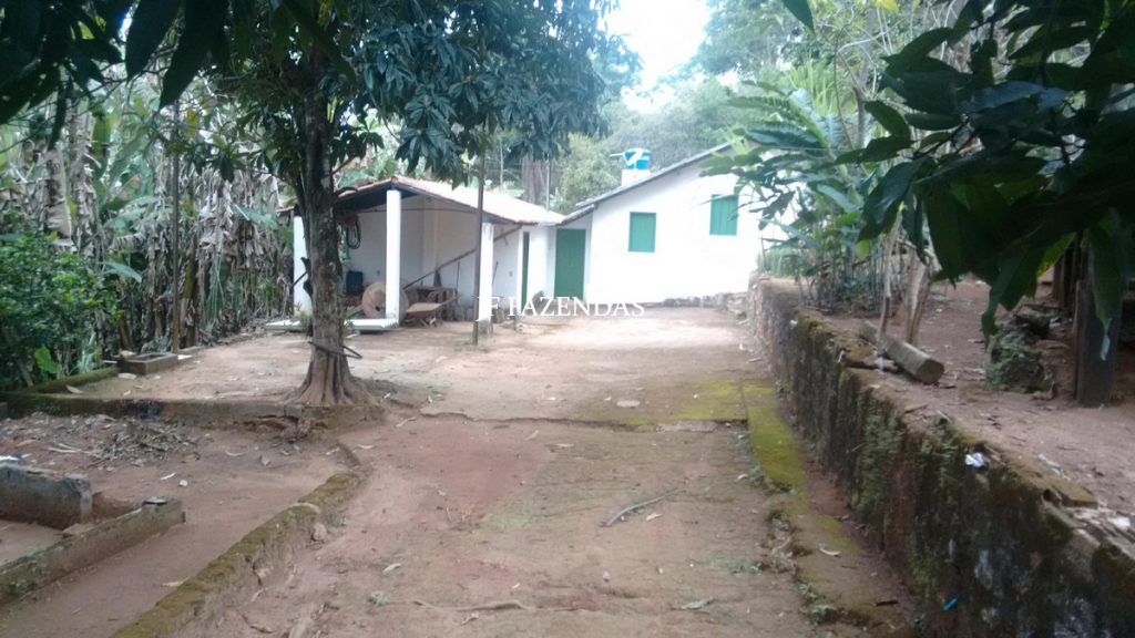 Sitio em Juiz de Fora- MG – 39 hectares Sitio em Juiz de Fora- MG – 39 hectares
