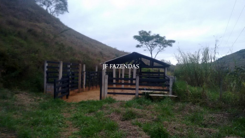 Sitio em Juiz de Fora- MG – 39 hectares Sitio em Juiz de Fora- MG – 39 hectares