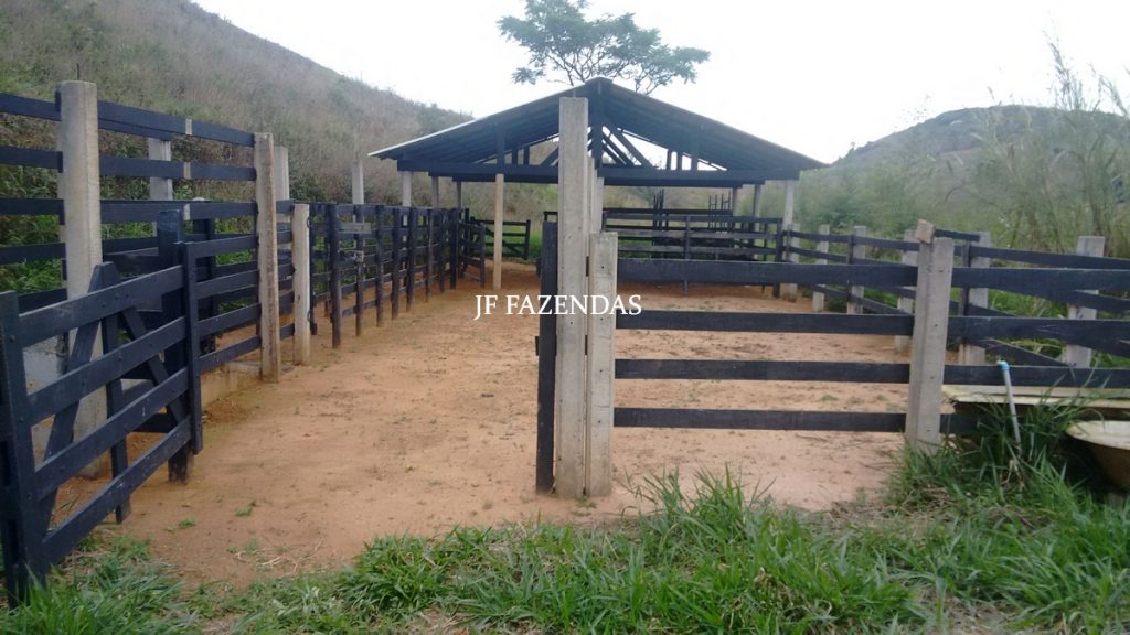 Sitio em Juiz de Fora- MG – 39 hectares Sitio em Juiz de Fora- MG – 39 hectares