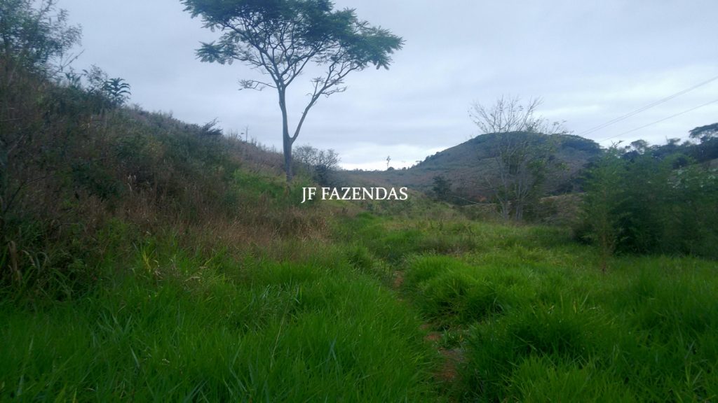 Sitio em Juiz de Fora- MG – 39 hectares Sitio em Juiz de Fora- MG – 39 hectares
