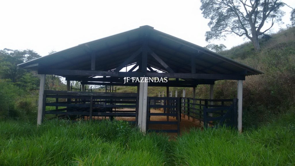 Sitio em Juiz de Fora- MG – 39 hectares Sitio em Juiz de Fora- MG – 39 hectares