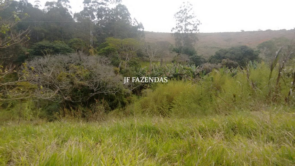 Sitio em Juiz de Fora- MG – 39 hectares Sitio em Juiz de Fora- MG – 39 hectares