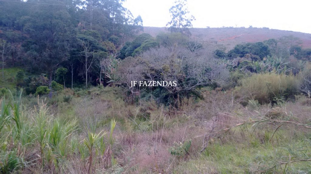 Sitio em Juiz de Fora- MG – 39 hectares Sitio em Juiz de Fora- MG – 39 hectares