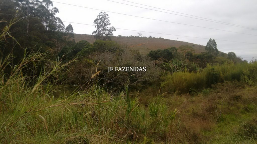 Sitio em Juiz de Fora- MG – 39 hectares Sitio em Juiz de Fora- MG – 39 hectares