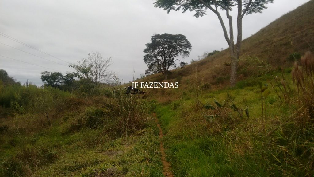Sitio em Juiz de Fora- MG – 39 hectares Sitio em Juiz de Fora- MG – 39 hectares