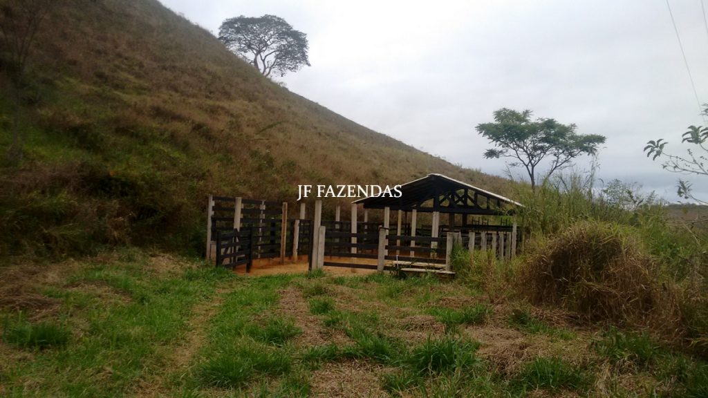 Sitio em Juiz de Fora- MG – 39 hectares Sitio em Juiz de Fora- MG – 39 hectares