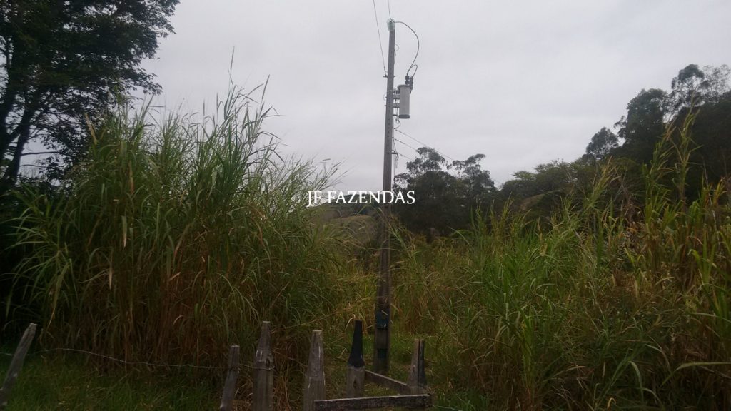 Sitio em Juiz de Fora- MG – 39 hectares Sitio em Juiz de Fora- MG – 39 hectares