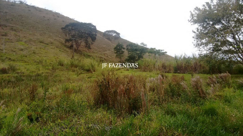 Sitio em Juiz de Fora- MG – 39 hectares Sitio em Juiz de Fora- MG – 39 hectares
