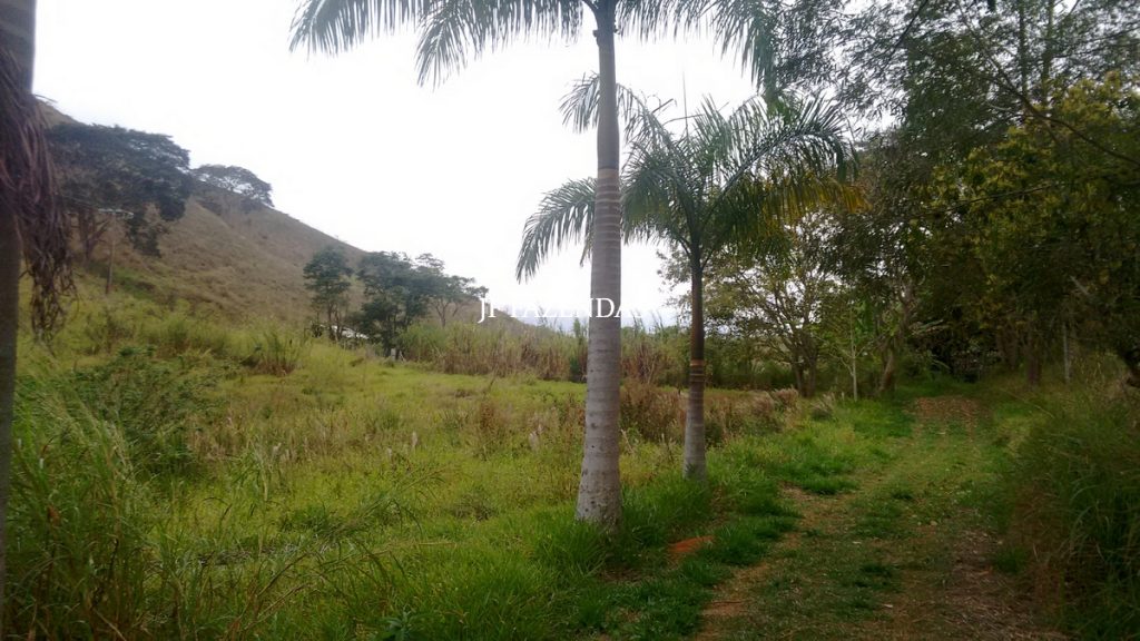 Sitio em Juiz de Fora- MG – 39 hectares Sitio em Juiz de Fora- MG – 39 hectares