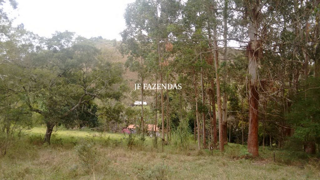 Sitio em Juiz de Fora- MG – 39 hectares Sitio em Juiz de Fora- MG – 39 hectares