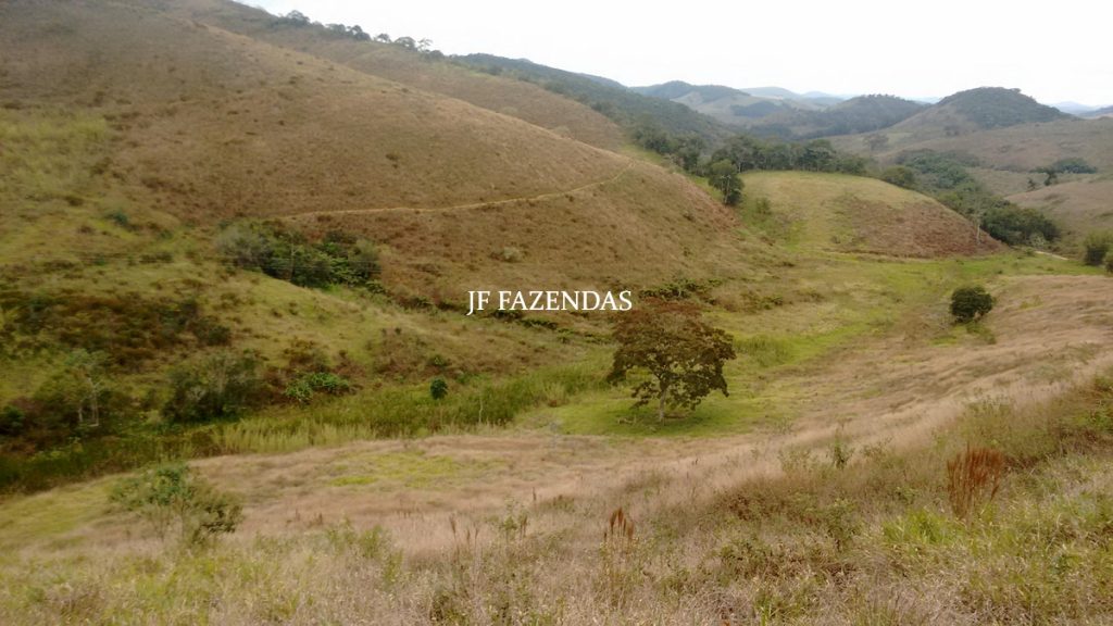 Sitio em Juiz de Fora- MG – 39 hectares Sitio em Juiz de Fora- MG – 39 hectares