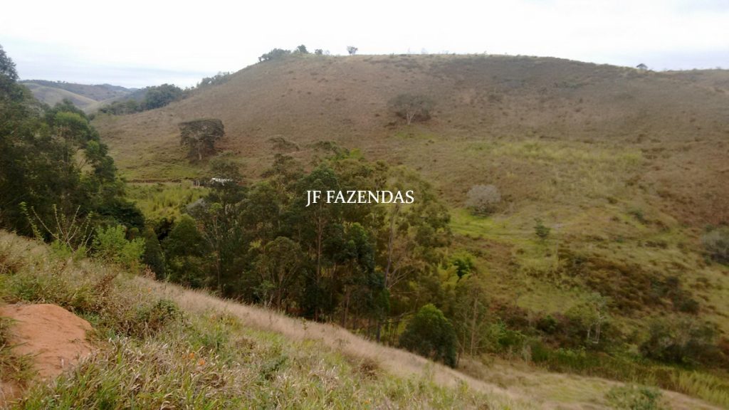 Sitio em Juiz de Fora- MG – 39 hectares Sitio em Juiz de Fora- MG – 39 hectares