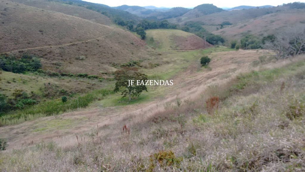 Sitio em Juiz de Fora- MG – 39 hectares Sitio em Juiz de Fora- MG – 39 hectares